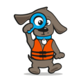 Ezydog seadog zwemvest