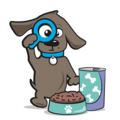 Blikvoer hond