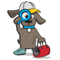 Honden accessoires