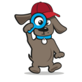 Hondenpet