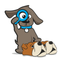 Pantoffels hond