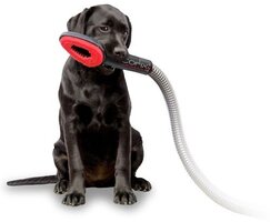 Stofzuiger hond