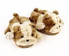 Pantoffels hond