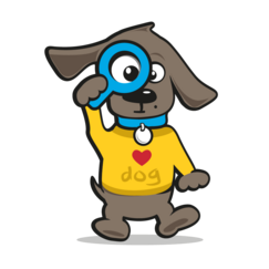 Trainingsvest hond