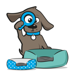 Hondenmand chihuahua
