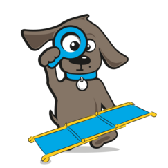 Solvit deluxe pet ramp