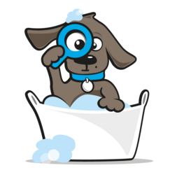 Paracetamol hond