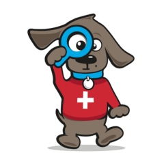 Medical pet shirt s