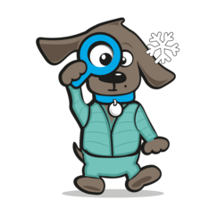 Honden skipak