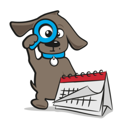Labradoodle kalender