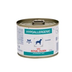 Blikvoer hond