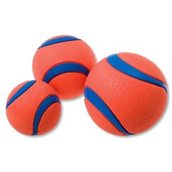 Hondenballen