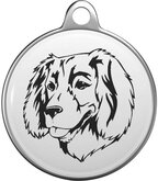 Boykin Spaniel Tommy Tag B046