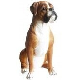 Beeld Boxer hond 47 cm