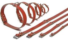 Ipts halsband - Rood 27x10