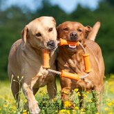 Tussle Dummy, groot Major Dog