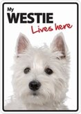 Westie lives here