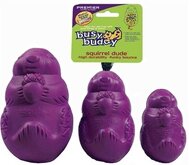 Premier medium busy buddy squirrel dude puppy