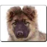 Pup Herdershond Close up  Muismat