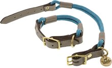 Honden halsband Nylon/Leer Turquoise size XL