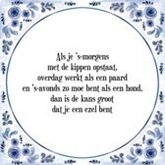 Tegeltje met Spreuk (Tegeltjeswijsheid): Als je 's-morgens met de kippen opstaat, overdag werkt als een paard en 's-avonds zo moe bent als een hond, dan is de kans groot dat je een ezel bent + Kado verpakking & Plakhanger