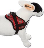 Doxtasy Tuigje Hondentuig Survival harness Tartan Red