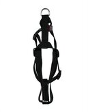 Martin sellier tuig voor hond basic nylon zwart 20 mmx50-70 cm