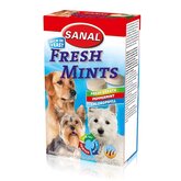 Fresh mints 100 gr
