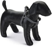 Beeztees - Borsttuig Hond - MacLeather - Grijs - 50-75 cm