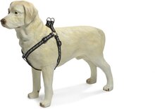 Beeztees Poot Motief - Borsttuig Hond - Zwart - S - 30-50 cm