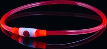 Bee Seen - Dog Band - Rood - usb - Led Band - honden lampje - veiligheid