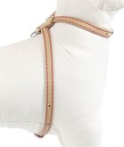 Luxury Leather Tuig Puppy