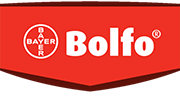 Bolfo