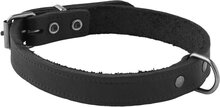 Adori Halsband Vetleder Met Print Zwart - Hondenhalsband - 16mmx40 cm