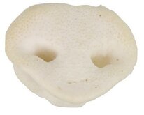 Petsnack varkensneuzen _