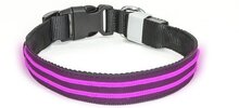 LED Halsband Waterproof Roze 35-40cm PX1+ Hilox