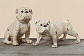 Hond (2set)