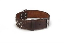 Leren halsband voor hond noppy bruin 60 cm x 40 mm