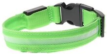 LED honden halsband - Groen S