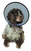 Smart collar - nekkraag