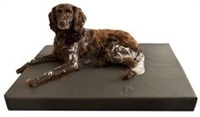Hd orthopedisch honden ligbed grijs _80x55 cm