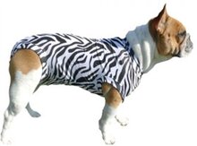 Medical Pet Shirt Hond Zebra Print - XS