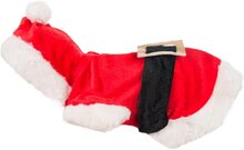Honden kerstkostuum 25 cm