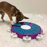 Hondenpuzzel Dog Twister