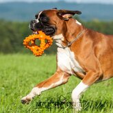 Grijp bal Octopus, groot Major Dog