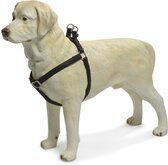 Beeztees - Borsttuig Hond - MacLeather - Zwart - S - 35-60 cm
