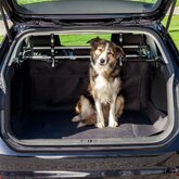 Auto Kofferbak Beschermer