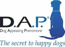 D.A.P.