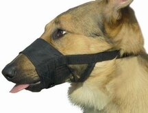 Beeztees Comfort Muilband - Hond - S - 13-16 cm