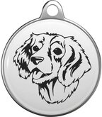 English Springer Spaniel Tommy Tag E010